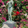 11.received_2174421469801428.jpeg