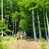 29.ročník - Jarný prechod Skaliek  24.05.2025